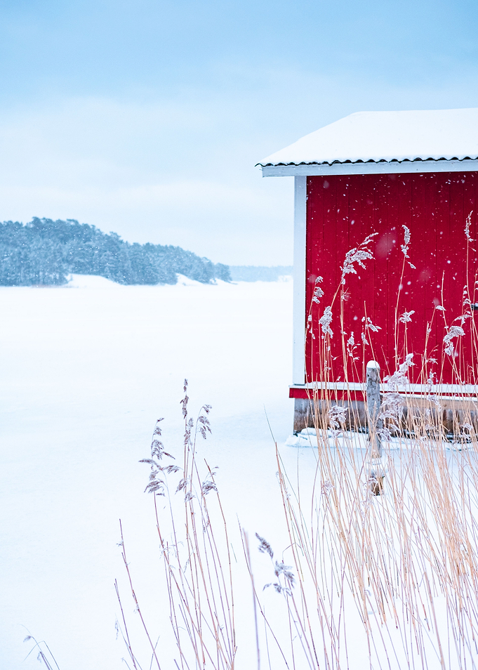 Winter
