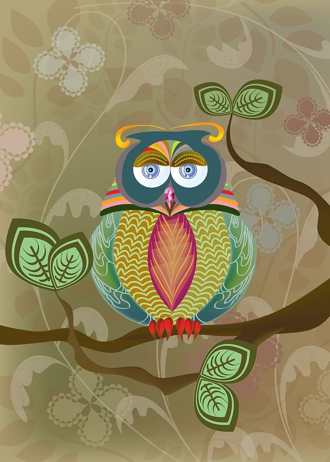 Fancy owl