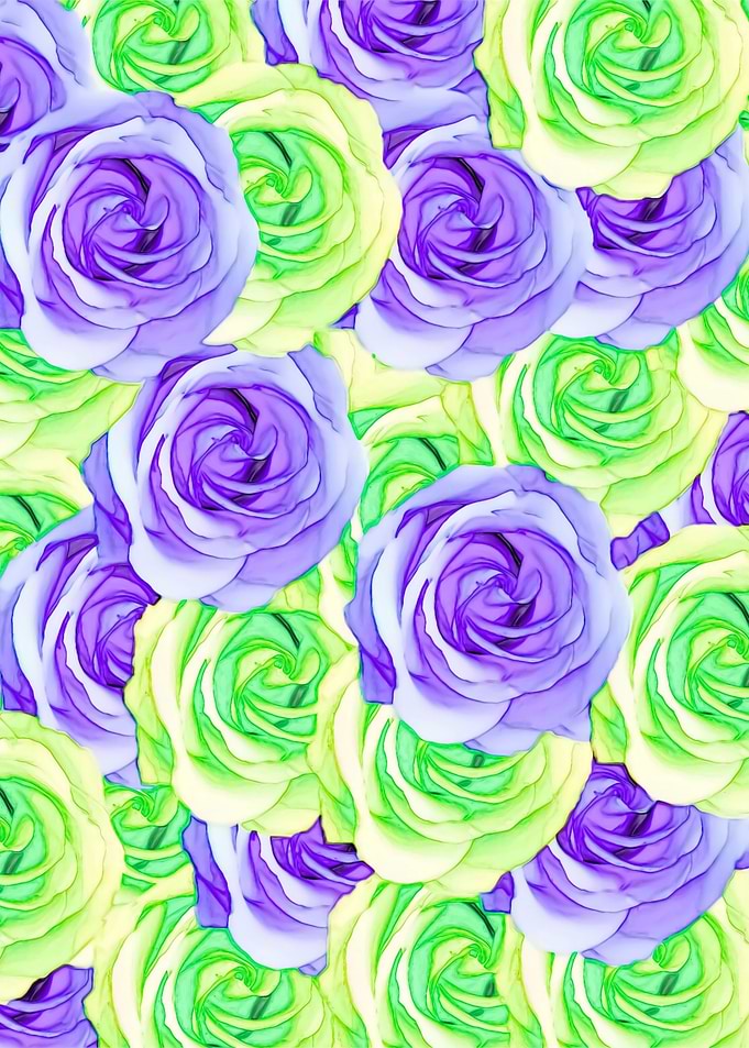 purple and green rose