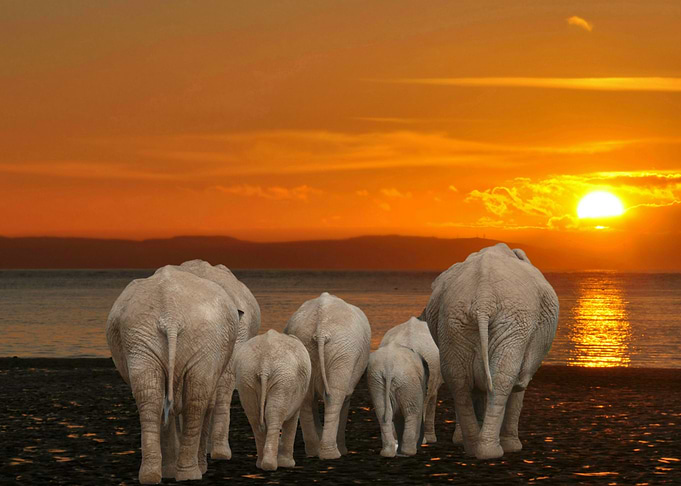 off for a drink