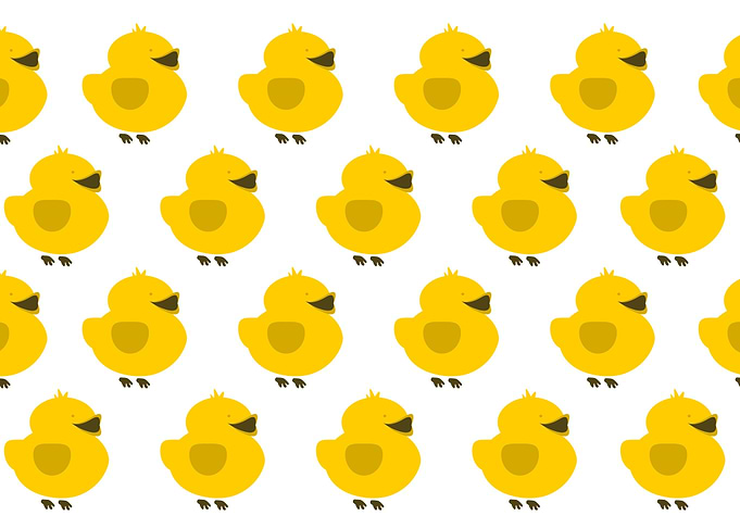 Chicks chirping