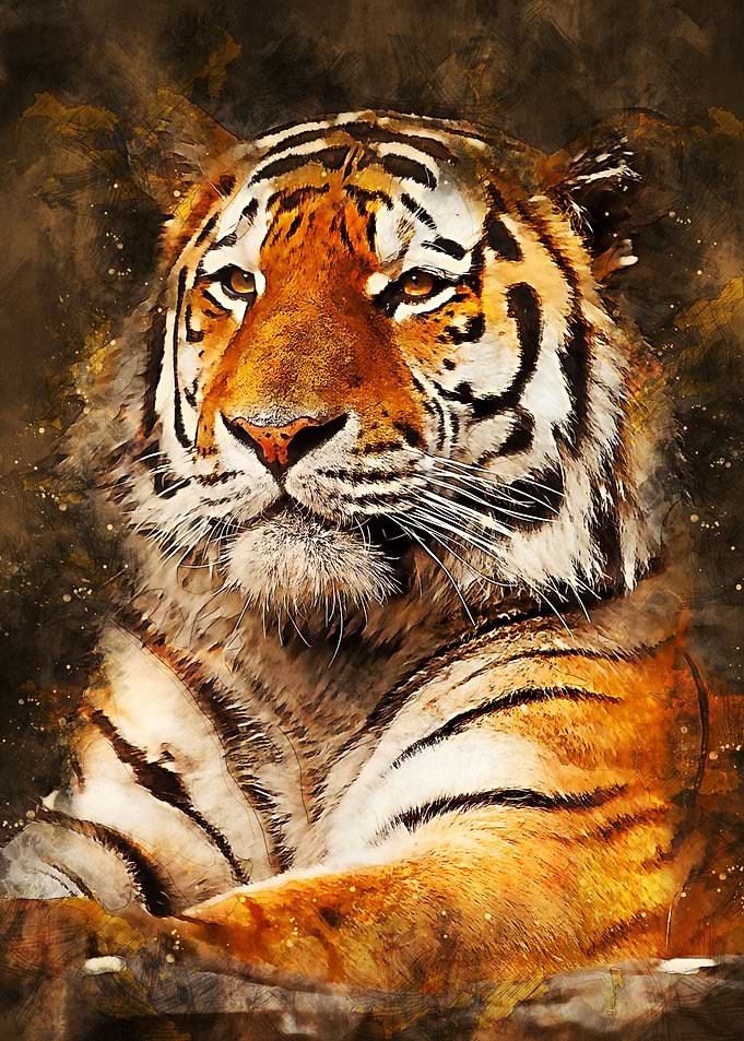 Tiger 4
