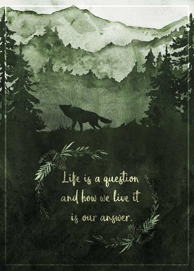 Wolf in the mountains