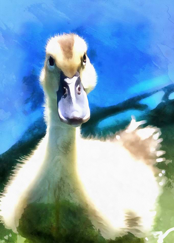 The Painted Duckling