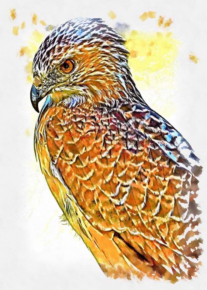 Painted Raptor