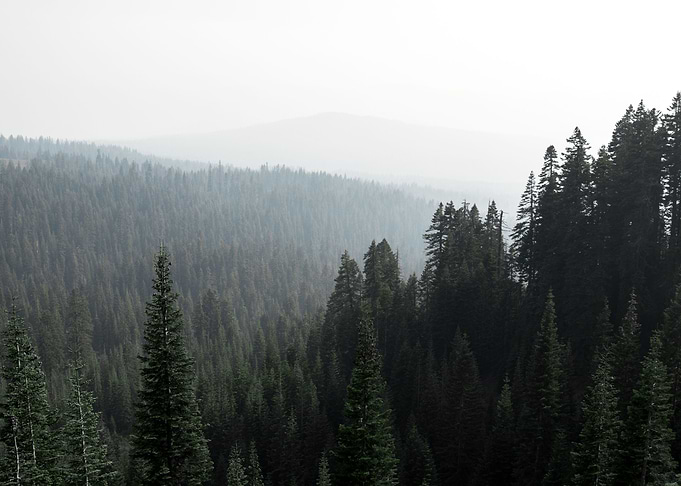 California Dreams