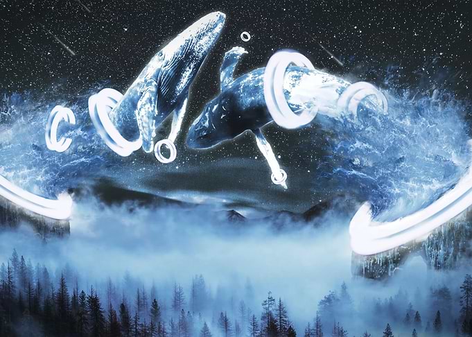 Cerebral Whales