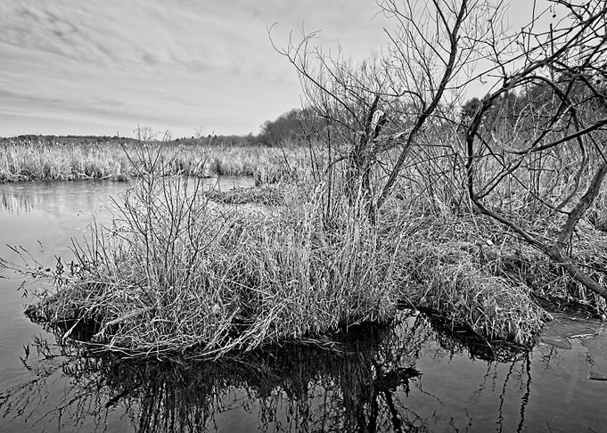 North to Great Meadows