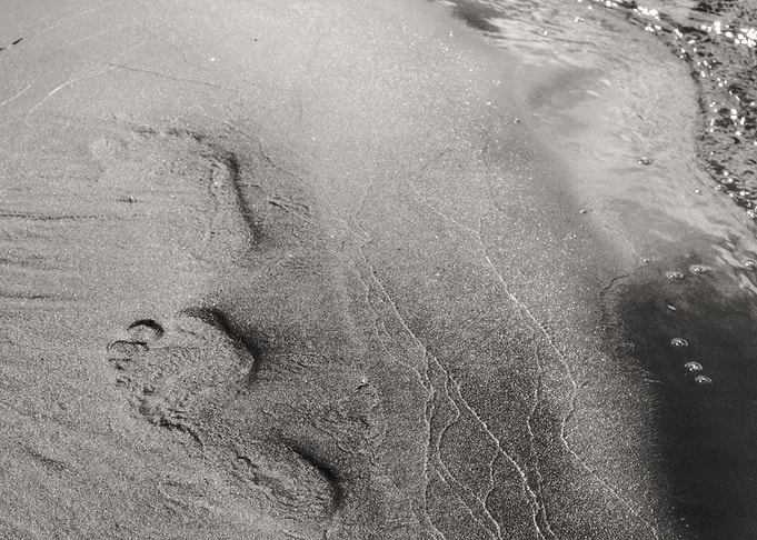 Foodprints