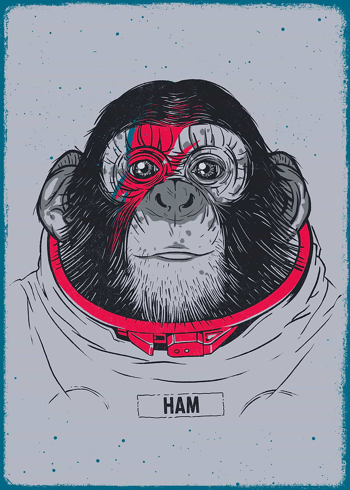 Ham Stardust