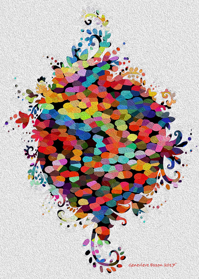 Floral Splash