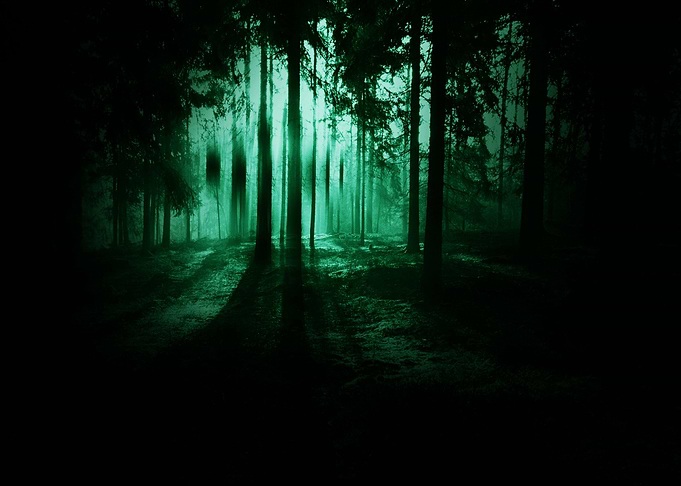 Creepy Wood