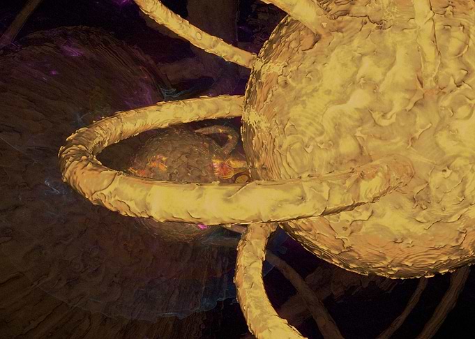 InnerSun