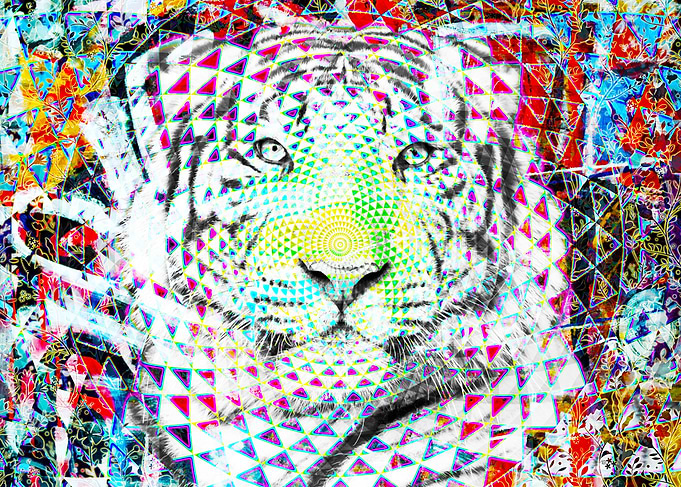Sacred tiger