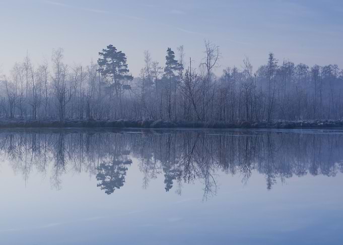 Reflection