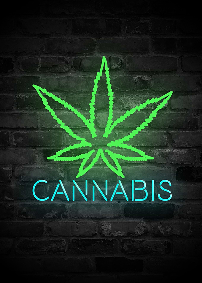 Cannabis