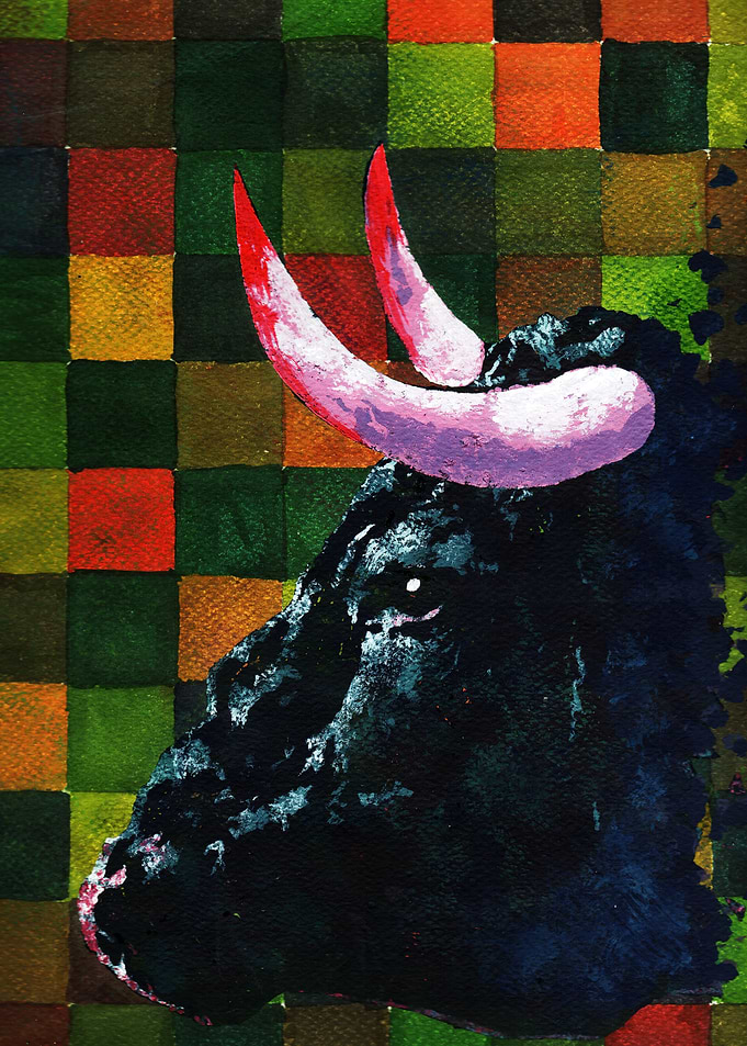 unknown bull