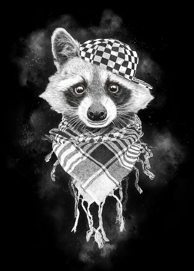 Rocco Raccoon BLACK