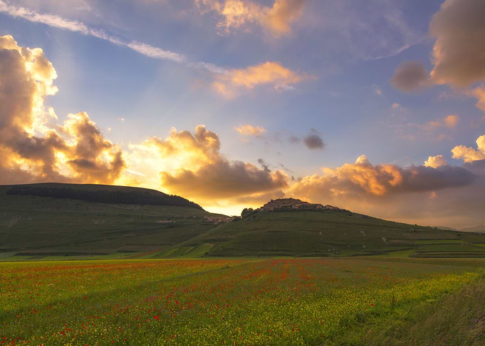 The Valley