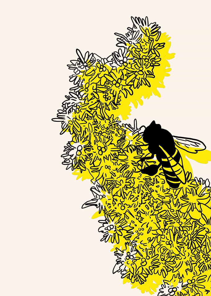 Goldenrod