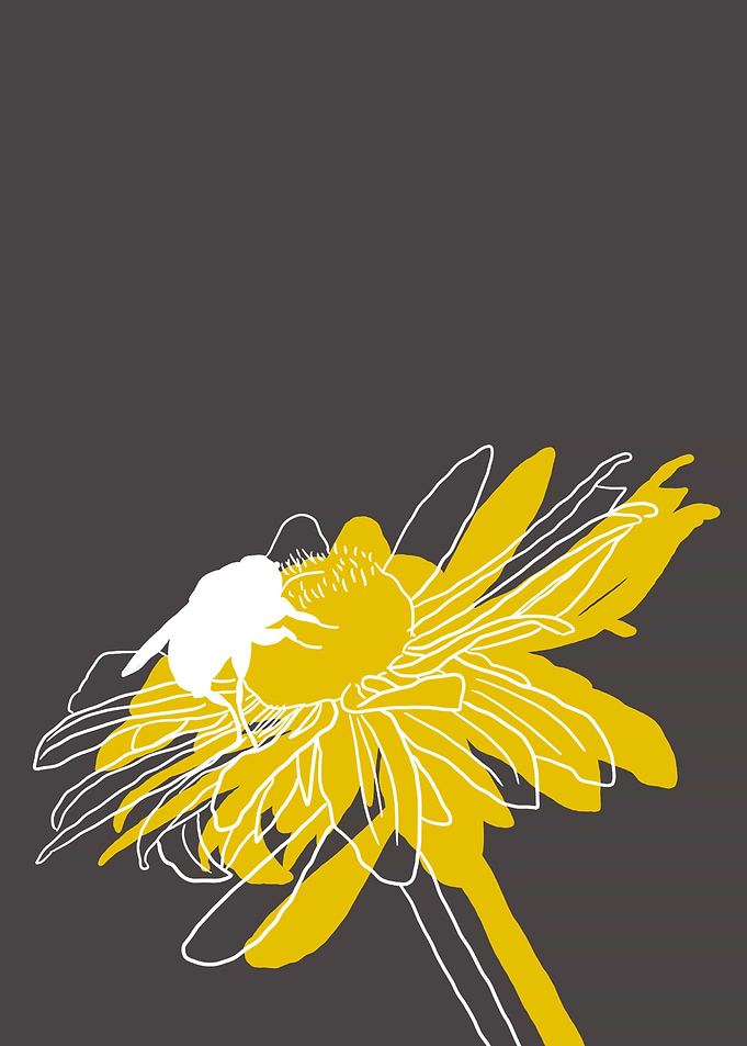 Black Eyed Susan