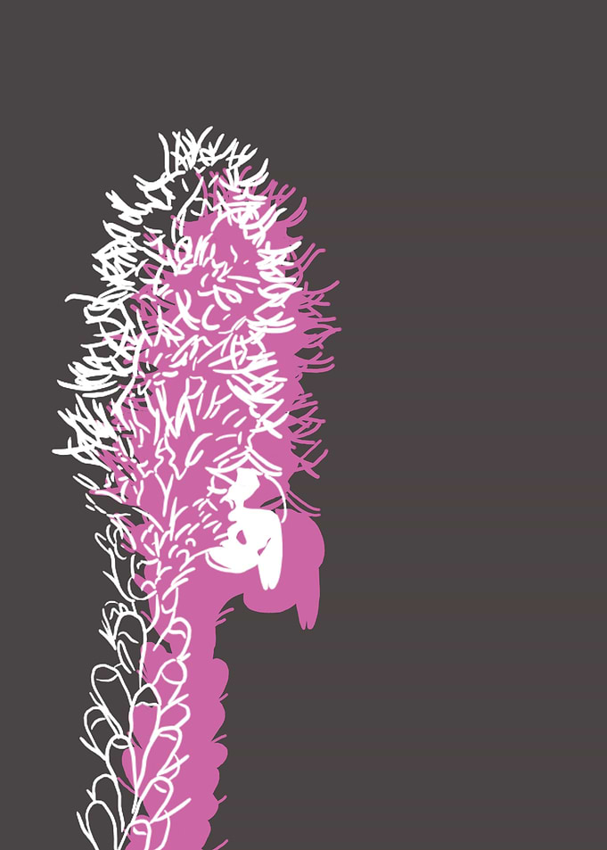 Blazing Star