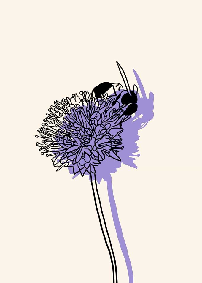 Globe Gilia