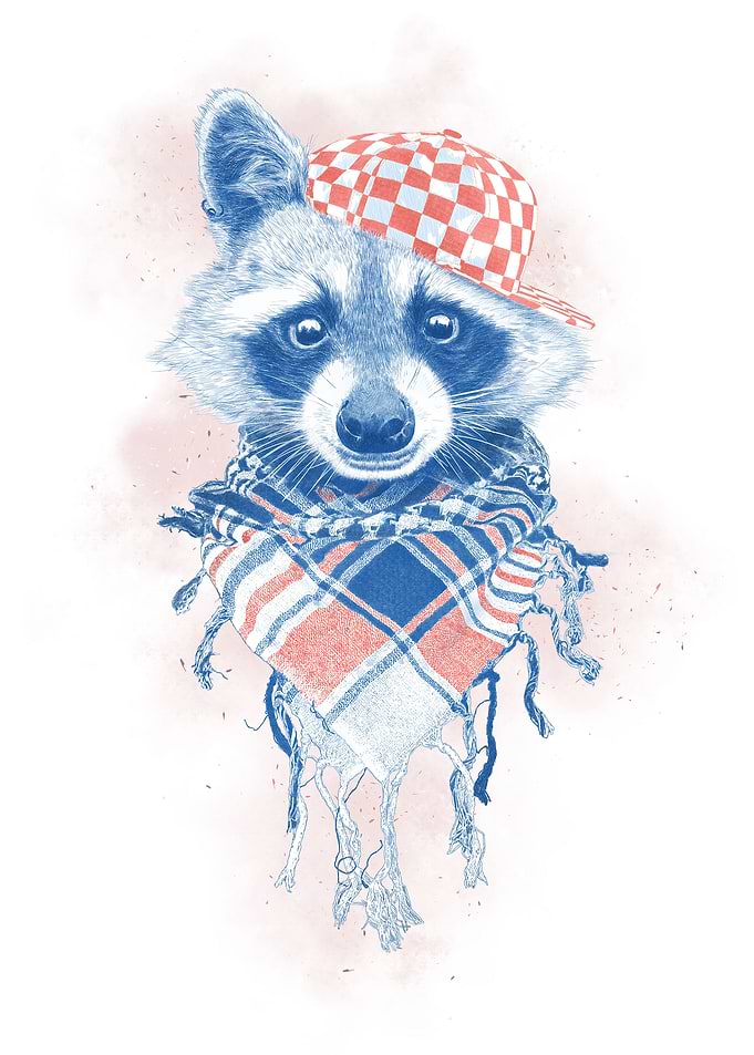 Rocco Raccoon BLUE