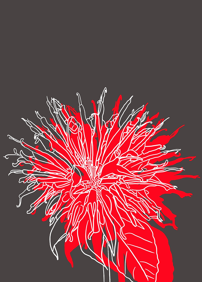 Beebalm
