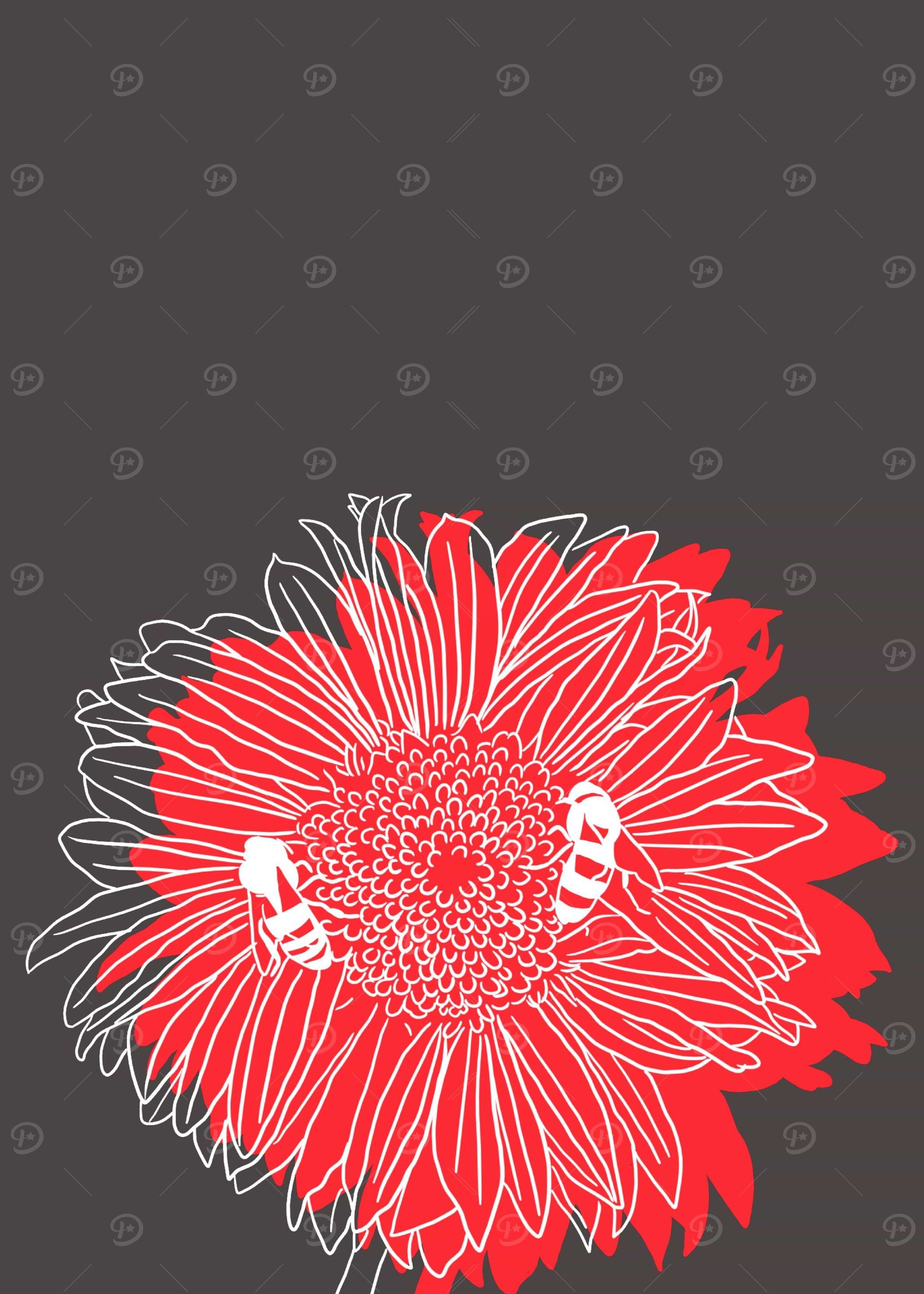 Blanketflower