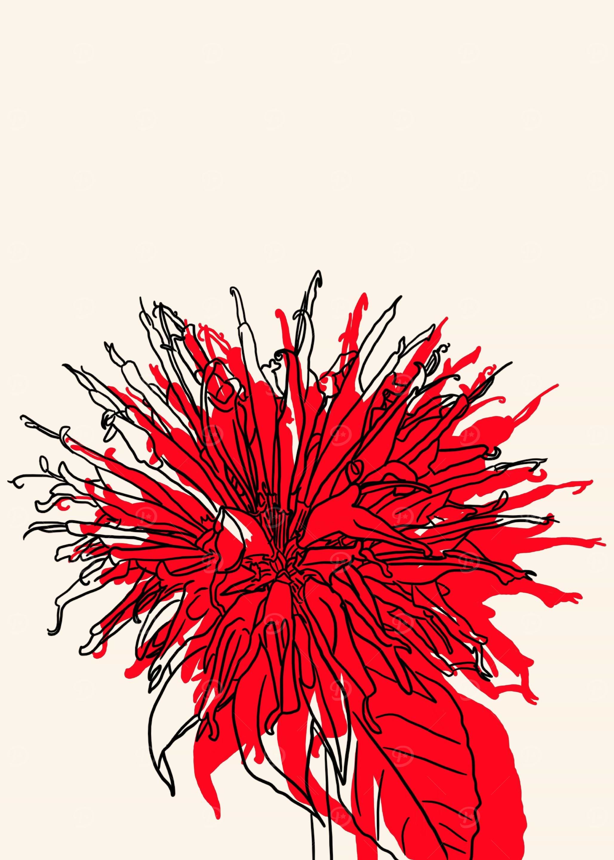 Beebalm
