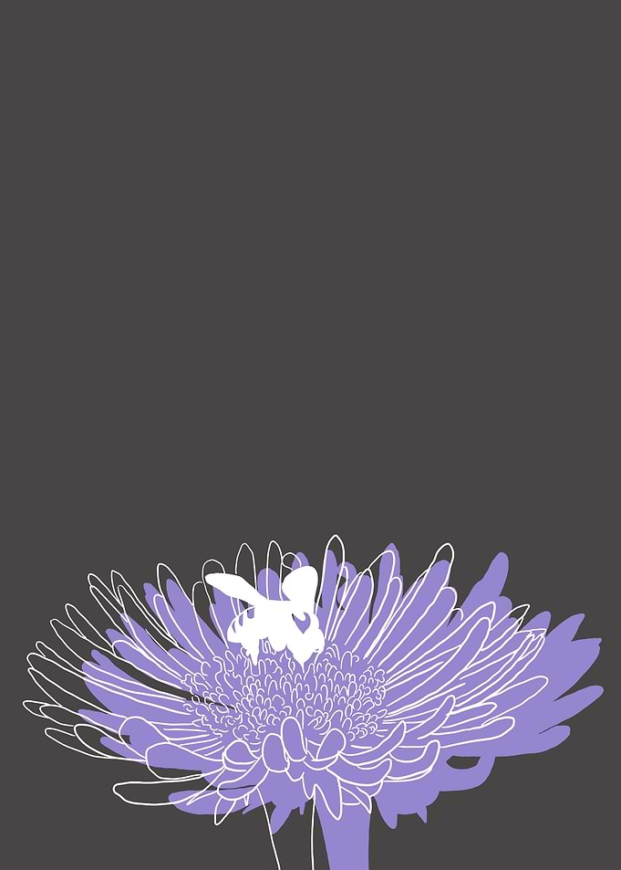 Aster