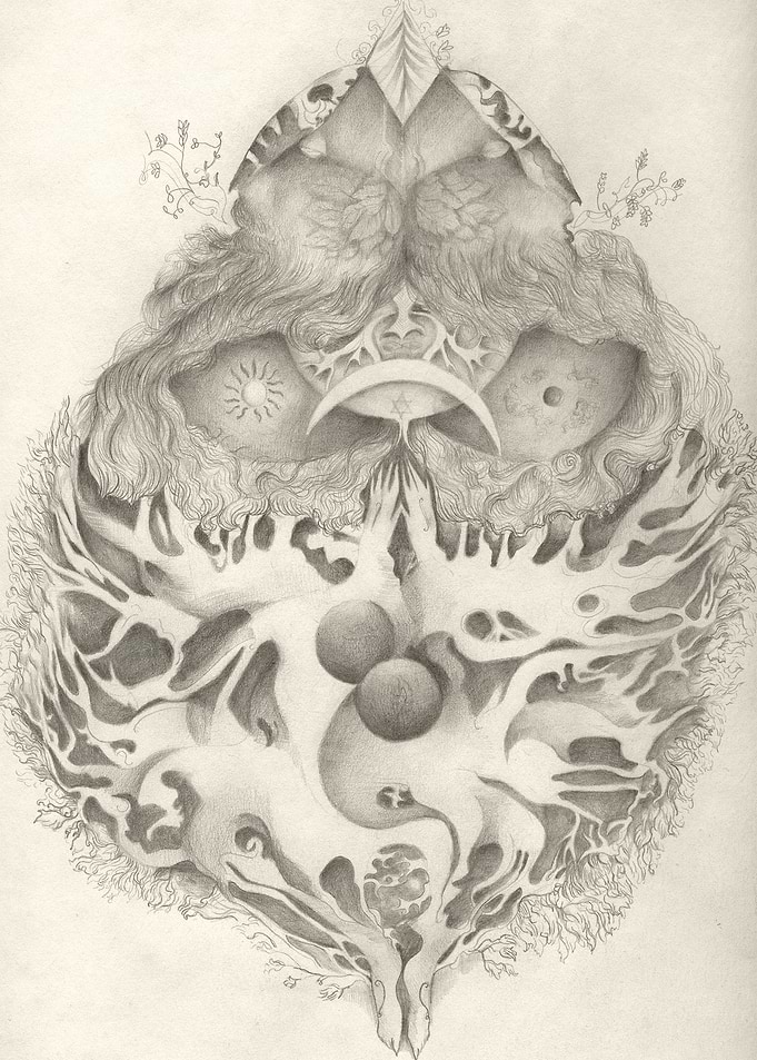 Roots