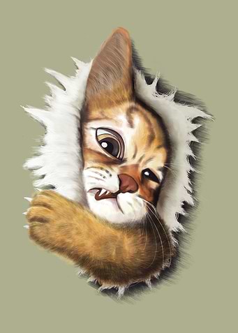 Emerge cat