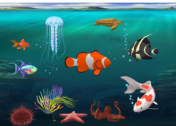 Deep ocean life
