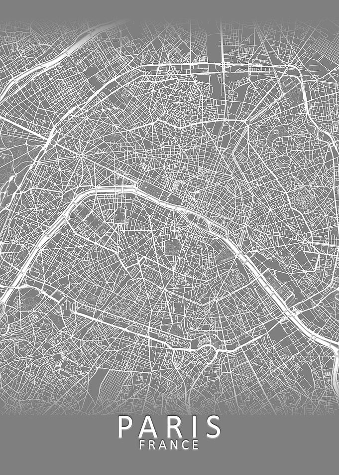 Grey 3D Paris City Map