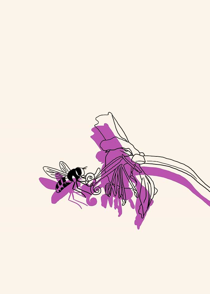 Fireweed