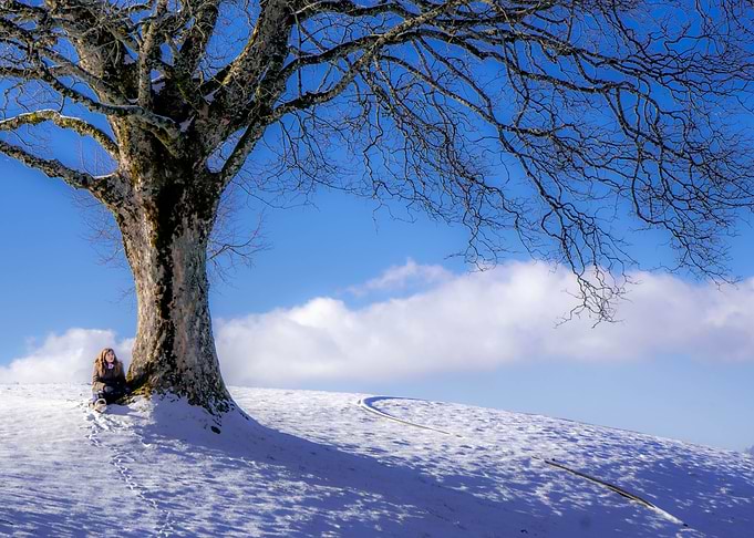 Girl Sitting Under A Tree