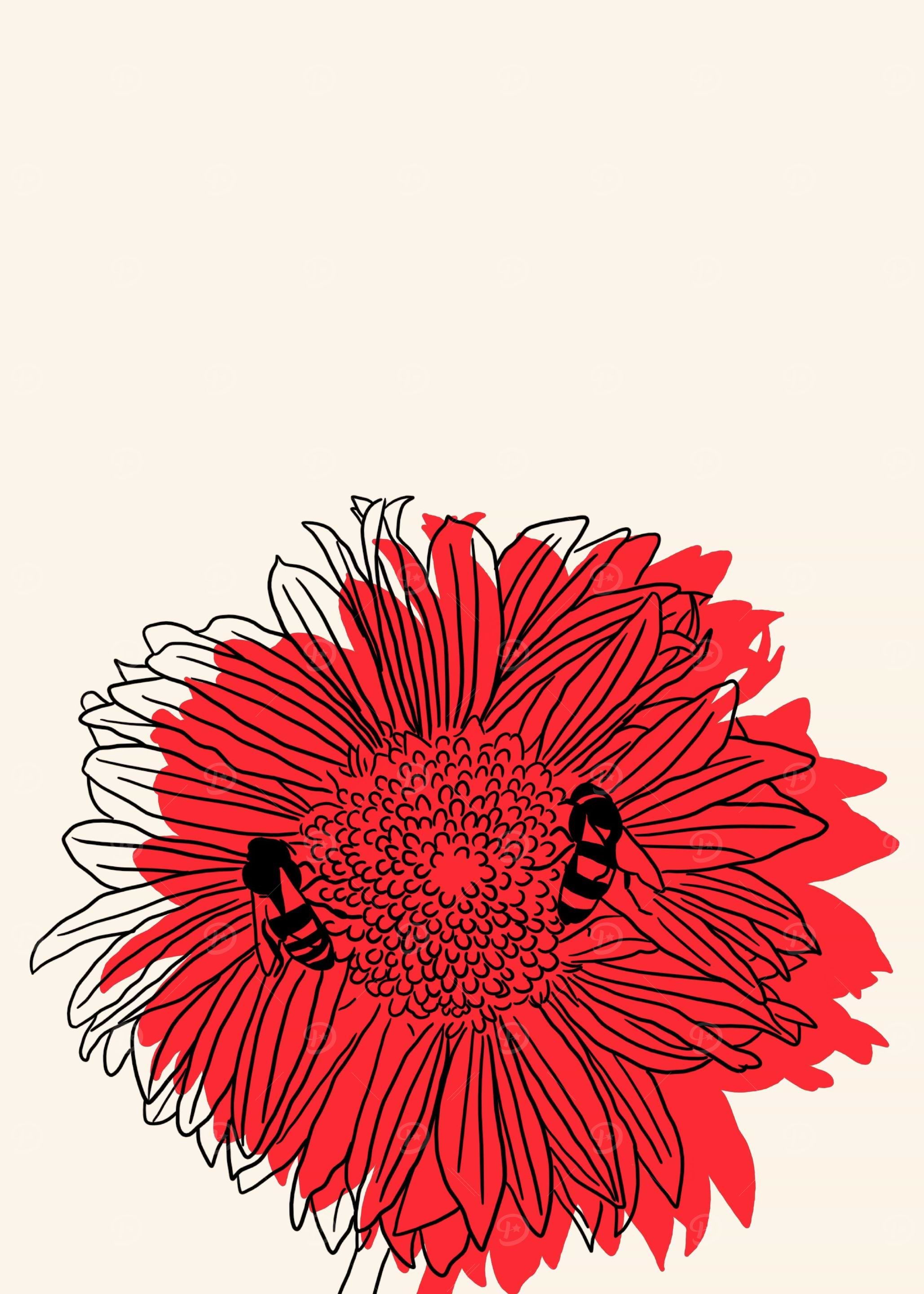 Blanketflower