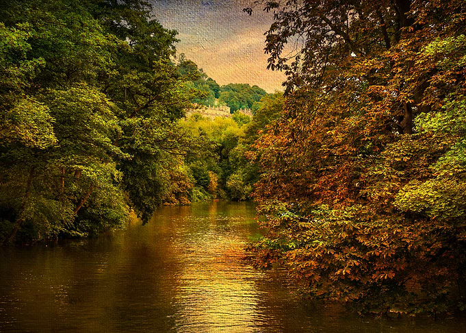 River Landscape