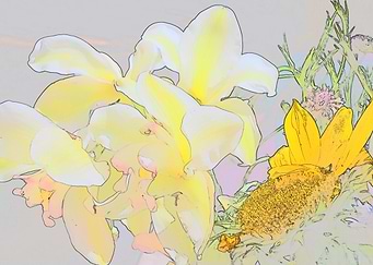 Orchids with Sunflower