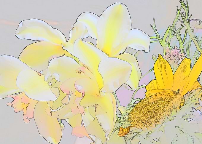 Orchids with Sunflower