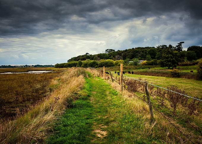 Field Path
