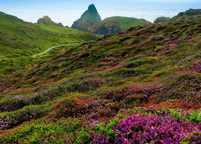 Heather Hills