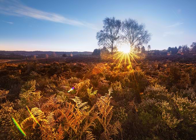 Rays of Sun