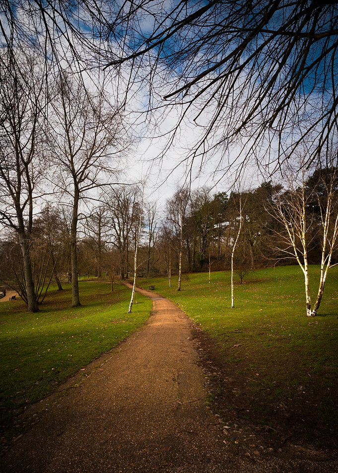 Path
