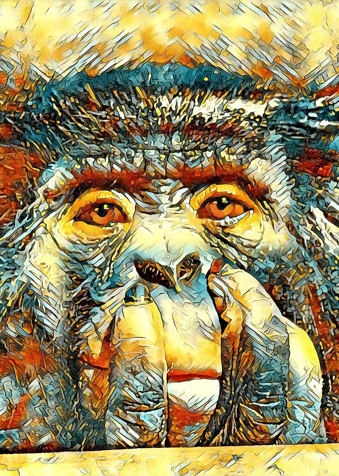 AnimalArt Chimpanzee 003