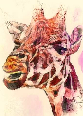 my giraffe