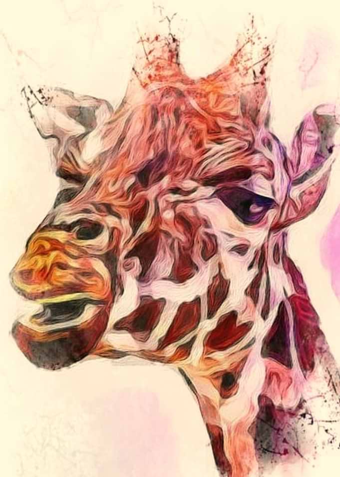 my giraffe