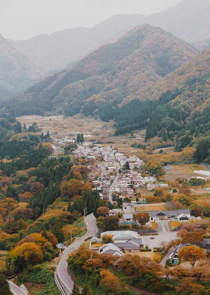 Autumn